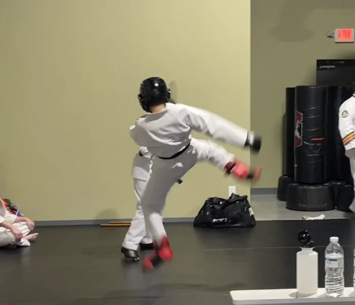 North Georgia Martial Arts Picture 1