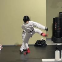 North Georgia Martial Arts ico