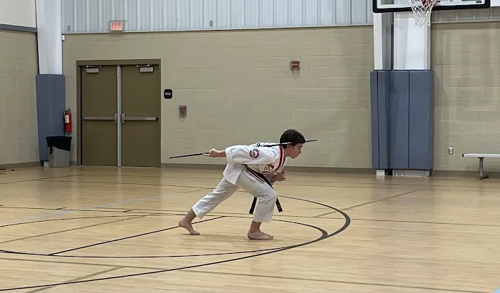 North Georgia Martial Arts Picture 5