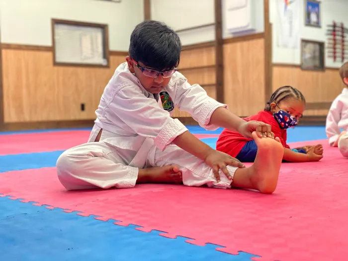 Roman Martial Arts Picture 6