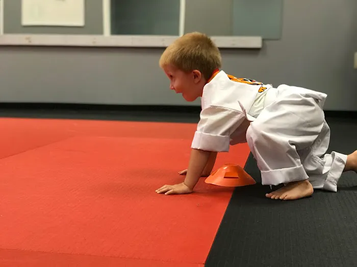 Seo's Martial Arts Calhoun Picture 4