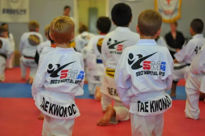 Seo's Martial Arts Calhoun Picture 10