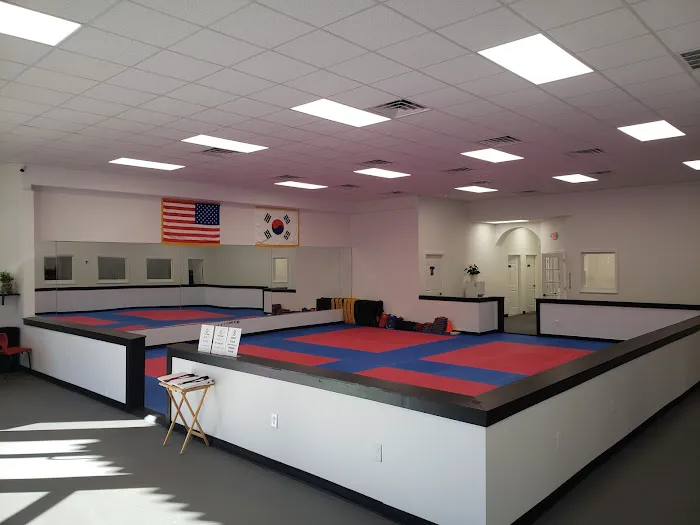 Virtue Taekwondo Picture 1