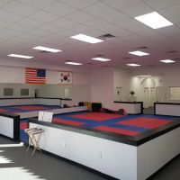 Virtue Taekwondo ico