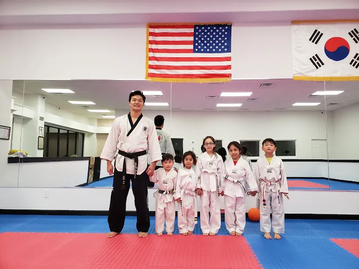 Virtue Taekwondo Picture 2