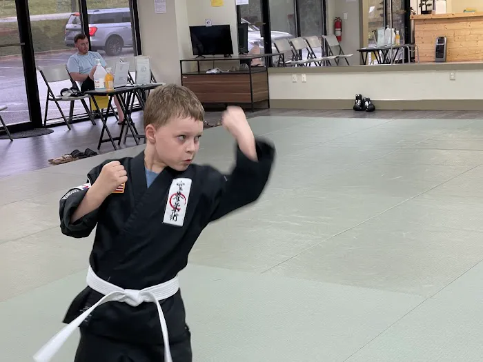 Gongkwon Yusul USA - Korean Mixed Martial Arts Picture 3