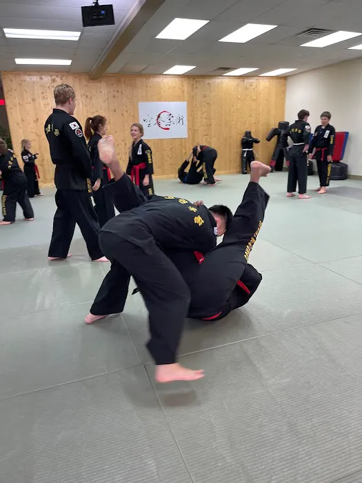 Gongkwon Yusul USA - Korean Mixed Martial Arts Picture 6