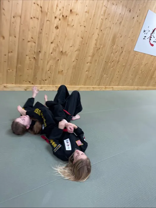 Gongkwon Yusul USA - Korean Mixed Martial Arts Picture 8