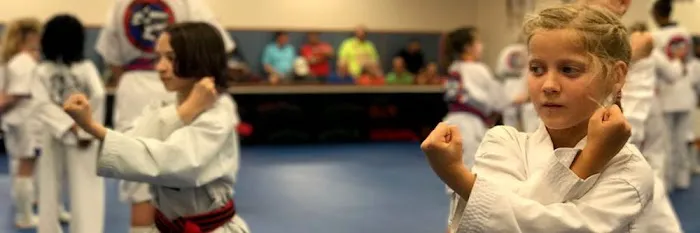 Master Jo's World Class Tae Kwon Do Picture 2