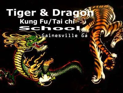 Tiger & Dragon Kung Fu School Gainesville Ga Picture 6