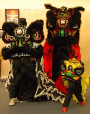 Tiger & Dragon Kung Fu School Gainesville Ga Picture 4