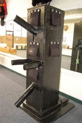 Tiger & Dragon Kung Fu School Gainesville Ga Picture 7