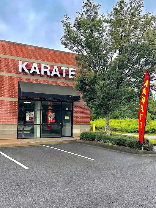 Okinawan Karate Academy Picture 1