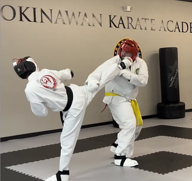 Okinawan Karate Academy Picture 2