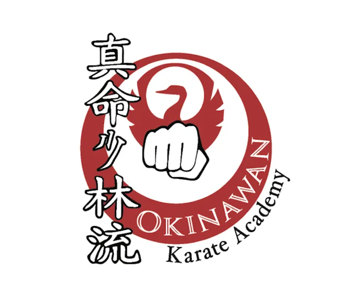 Okinawan Karate Academy Picture 3
