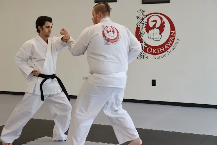 Okinawan Karate Academy Picture 4