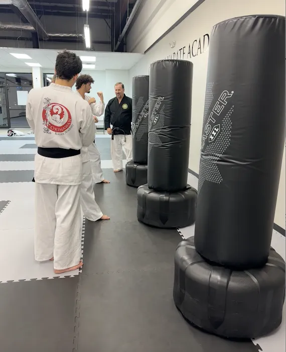 Okinawan Karate Academy Picture 9