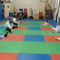 White Tiger Yongin Martial Arts ico