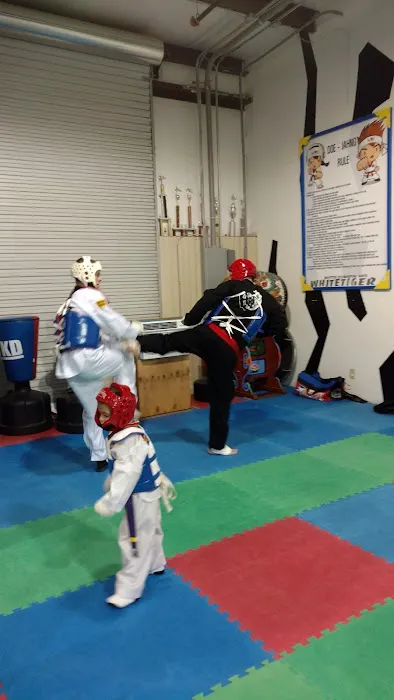 White Tiger Yongin Martial Arts Picture 3