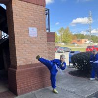 World Champion Taekwondo Martial Arts Dawsonville ico