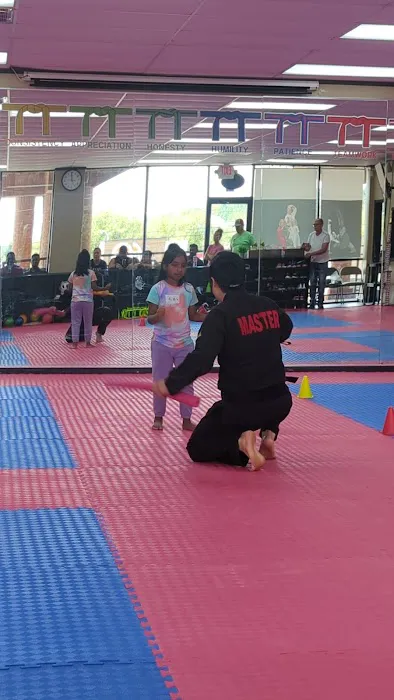 World Champion Taekwondo Martial Arts Dawsonville Picture 5