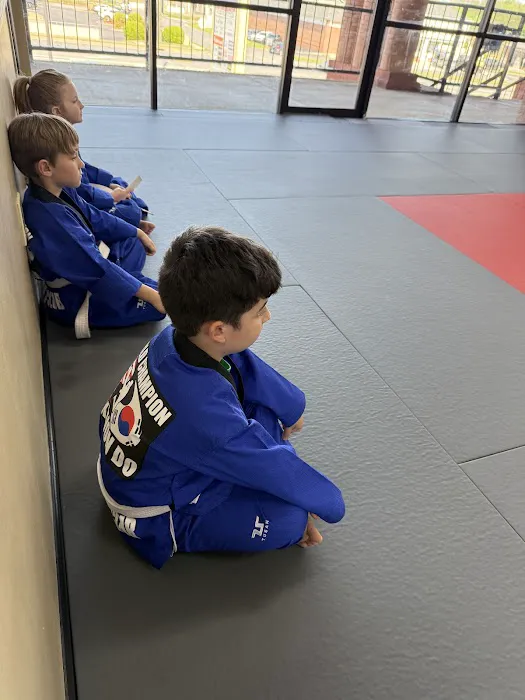 World Champion Taekwondo Martial Arts Dawsonville Picture 6