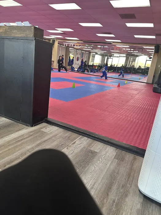 World Champion Taekwondo Martial Arts Dawsonville Picture 8