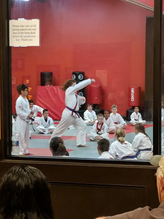 Rock Solid Karate Picture 6