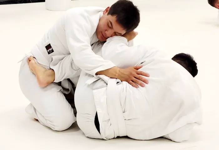 Budo Tatami Picture 6