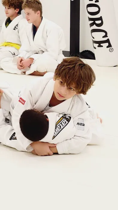 Budo Tatami Picture 2