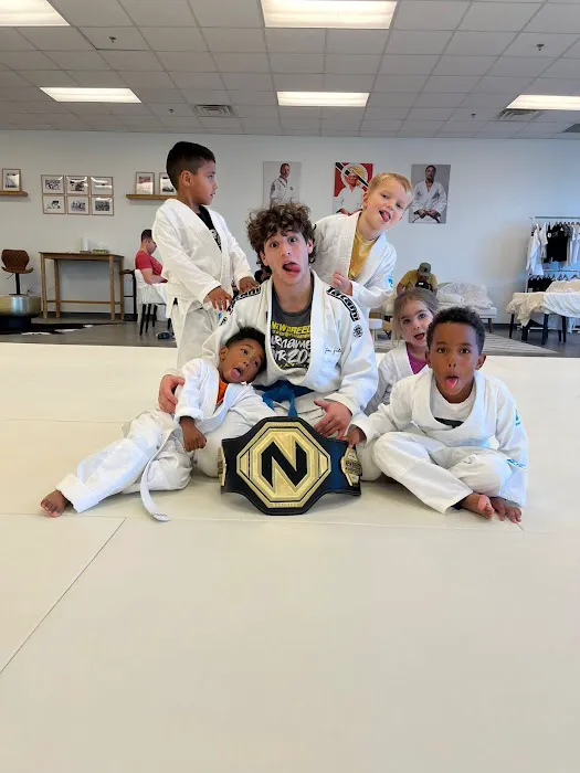 Budo Tatami Picture 3