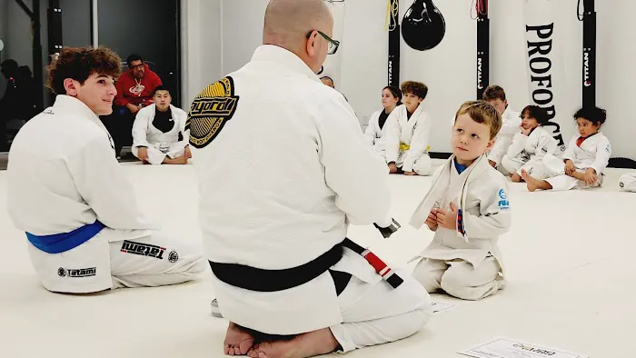 Budo Tatami Picture 7