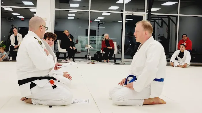 Budo Tatami Picture 5