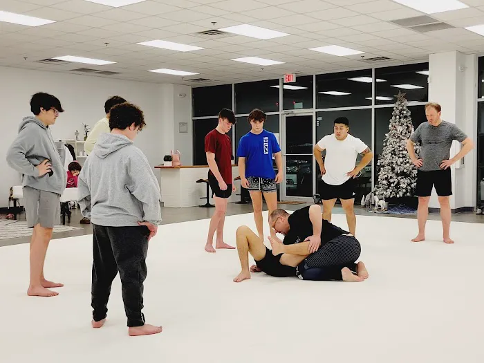 Budo Tatami Picture 9