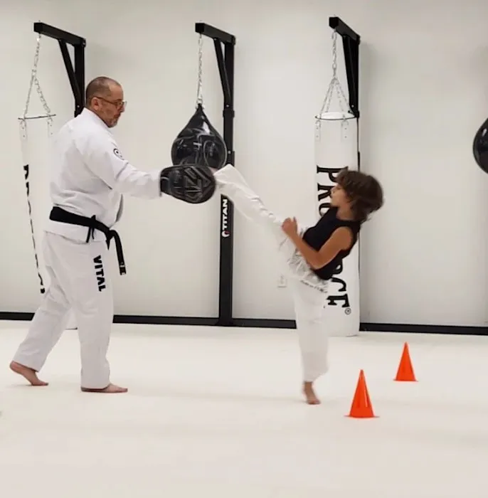 Budo Tatami Picture 10