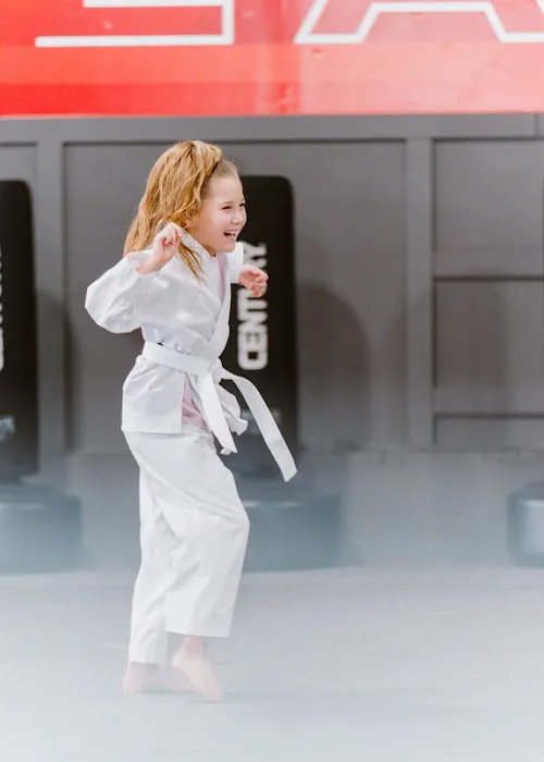 The Dojo - North Forsyth / Dawson Picture 2