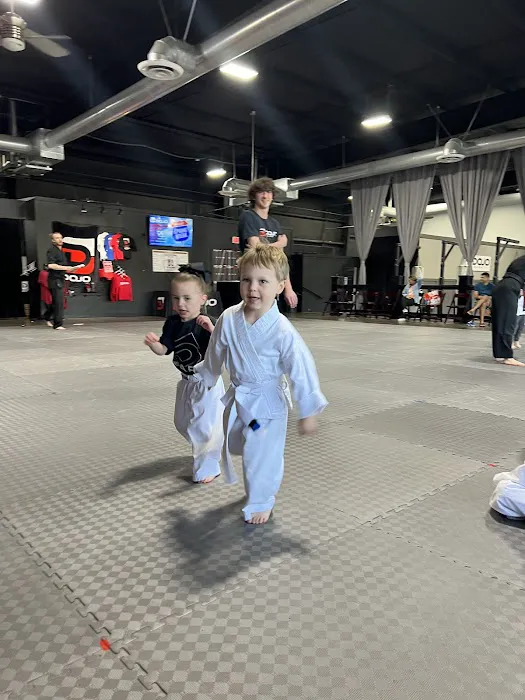 The Dojo - North Forsyth / Dawson Picture 1