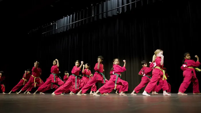 The Dojo - North Forsyth / Dawson Picture 9