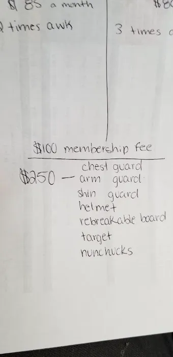 Revolution Martial Arts Picture 4