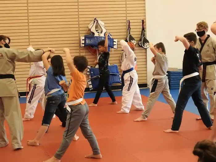 Master Seo's Top Martial Arts Picture 7