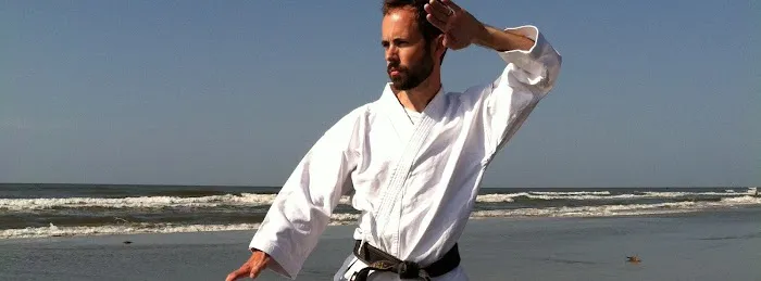 Master Pattillo Martial Arts Picture 6