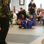 Twin Tigers Martial Arts