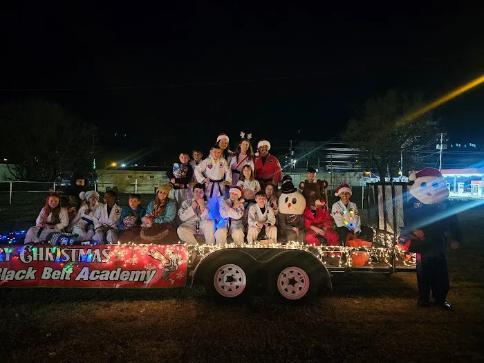 BLACK BELT ACADEMY Picture 2