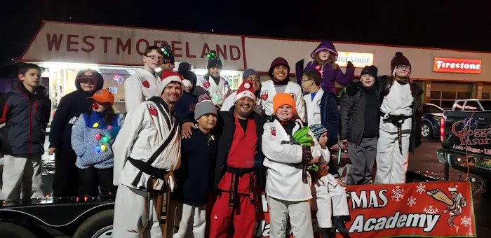 BLACK BELT ACADEMY Picture 8