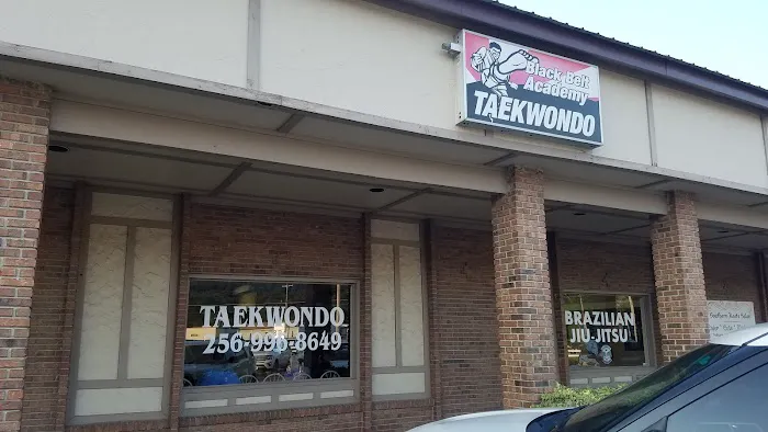 BLACK BELT ACADEMY Picture 9