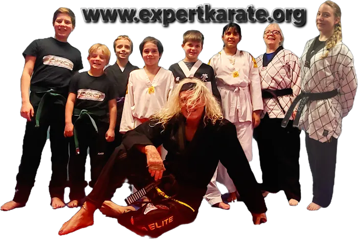Bateman's USA Expert Karate, Hapkido & Kickboxing Picture 10