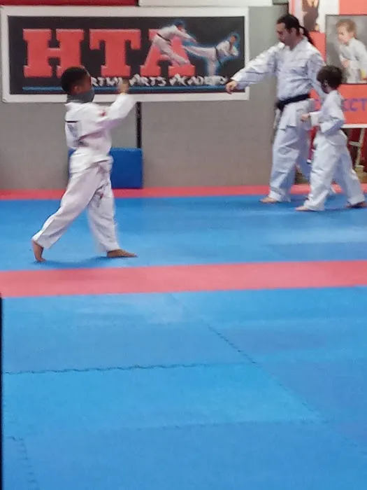 HTA Martial Arts Academy Picture 1