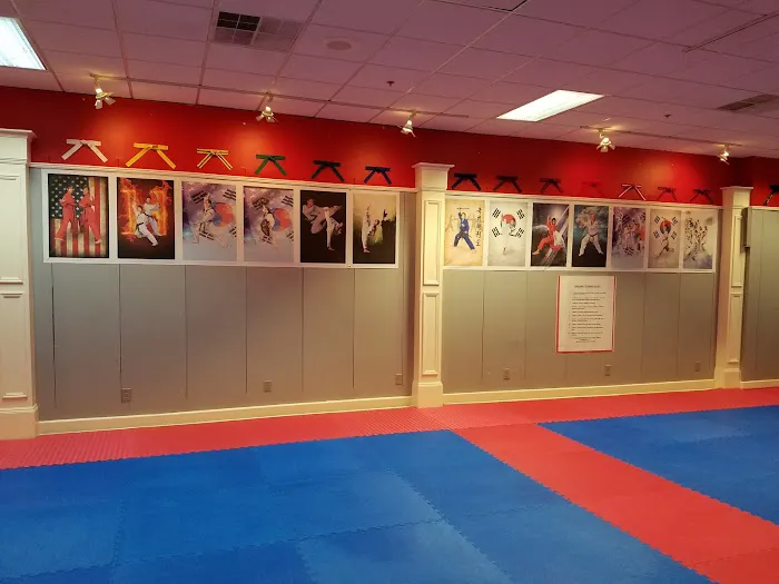 HTA Martial Arts Academy Picture 4