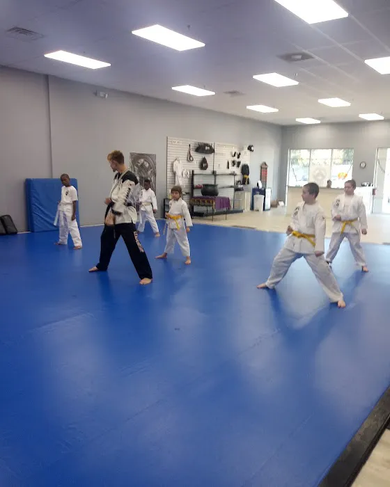 AKF Athens Martial Arts Picture 2