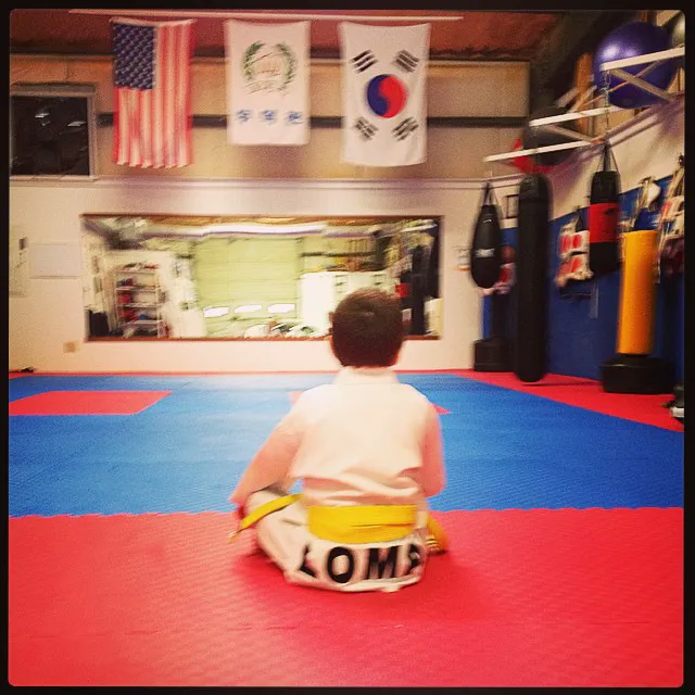 Live Oak Martial Arts Inc Picture 2